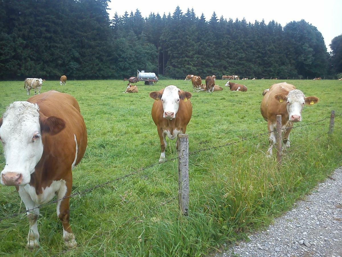 Ferienwohnung Auf Dem Lechsberg Fuchstal Екстер'єр фото